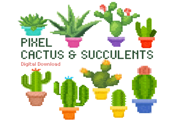 Cactus Succulent Pixel: Retro Graphics and Icons